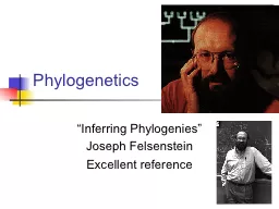 Phylogenetics