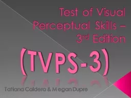 Test of Visual Perceptual Skills –