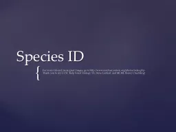 Species ID