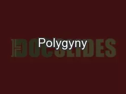 Polygyny