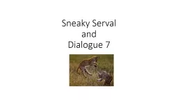 Sneaky Serval