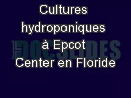 Cultures hydroponiques à Epcot Center en Floride