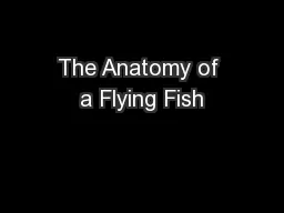 The Anatomy of a Flying Fish