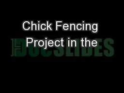 Chick Fencing Project in the