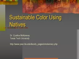Sustainable Color Using Natives
