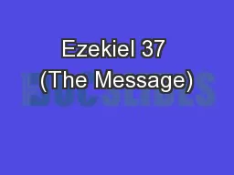 Ezekiel 37 (The Message)