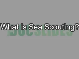 What is Sea Scouting?