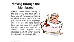 Moving through the Membrane