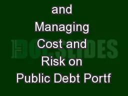 Identifying and Managing Cost and Risk on Public Debt Portf