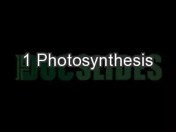 1 Photosynthesis