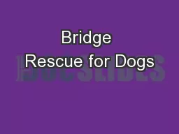 Bridge Rescue for Dogs
