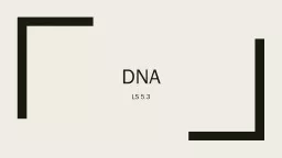 DNA LS 5.3