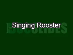 Singing Rooster
