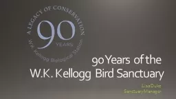90 Years of the