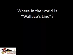 Where in the world is “Wallace’s Line”?