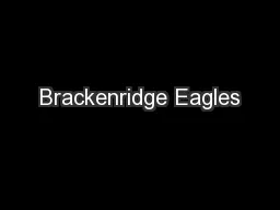 Brackenridge Eagles