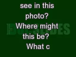 What do you see in this photo? Where might this be?  What c