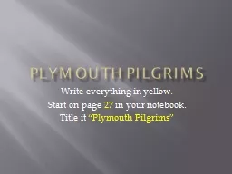 Plymouth Pilgrims