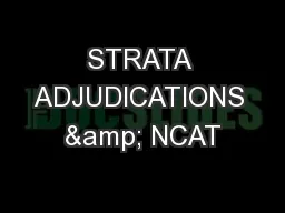 STRATA ADJUDICATIONS & NCAT
