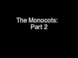 The Monocots:  Part 2