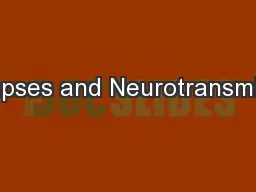 Synapses and Neurotransmitters