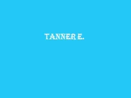 Tanner