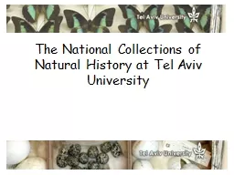 The National Collections of Natural History at Tel Aviv Uni