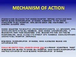 MECHANISM OF ACTION