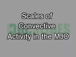 Scales of Convective Activity in the MJO