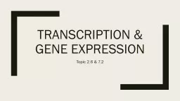 Transcription & Gene Expression