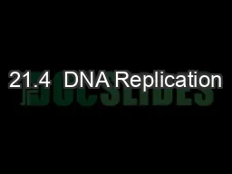 21.4  DNA Replication