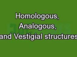 Homologous, Analogous, and Vestigial structures