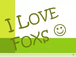 I Love Foxs