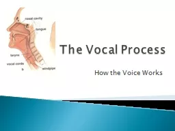 The Vocal Process