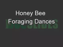 Honey Bee Foraging Dances