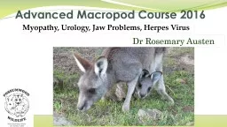 Advanced Macropod Course 2016