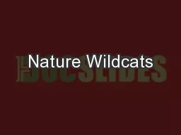 Nature Wildcats