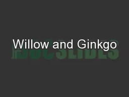 Willow and Ginkgo