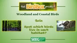 Woodland and Coastal Birds