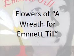 Flowers of “A Wreath for Emmett Till”
