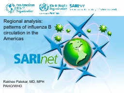 Regional analysis: patterns of influenza B circulation in t