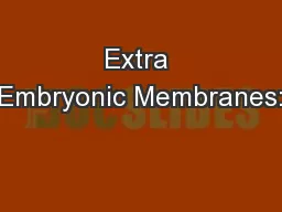 Extra Embryonic Membranes: