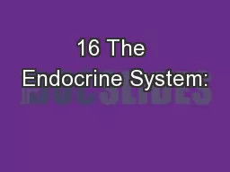 16 The Endocrine System: