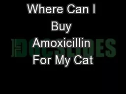 Where Can I Buy Amoxicillin For My Cat