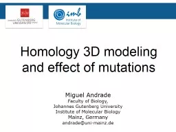 Homology 3D modeling and effect of mutations