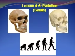 Lesson # 6: Evolution