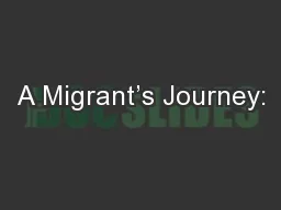 A Migrant’s Journey: