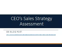 CEO’s Sales Strategy Assessment