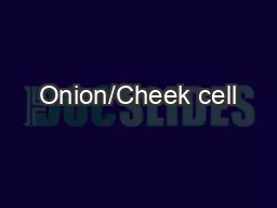 Onion/Cheek cell