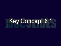 Key Concept 6.1